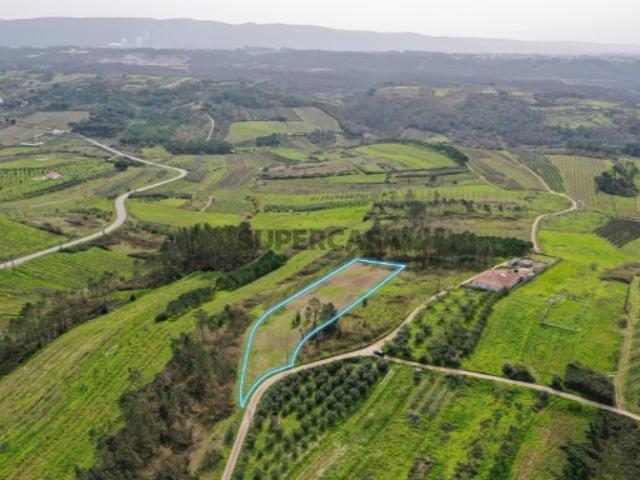 Terreno venda em Alcobaça, Leiria