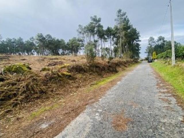 Terreno venda em Alfarves, Vila Real