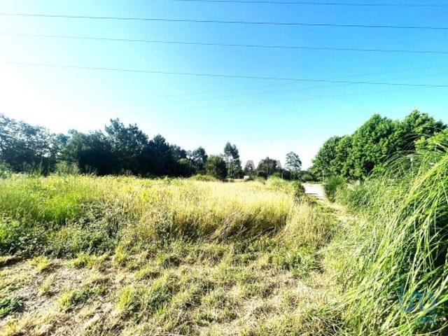 Terreno venda em Viana Do Castelo