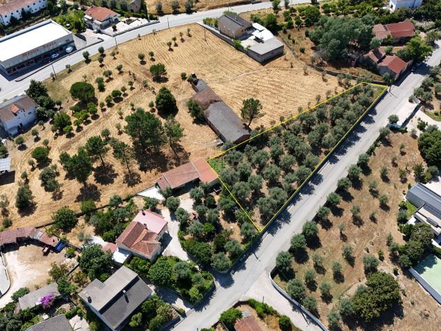 Terreno venda em Nelas