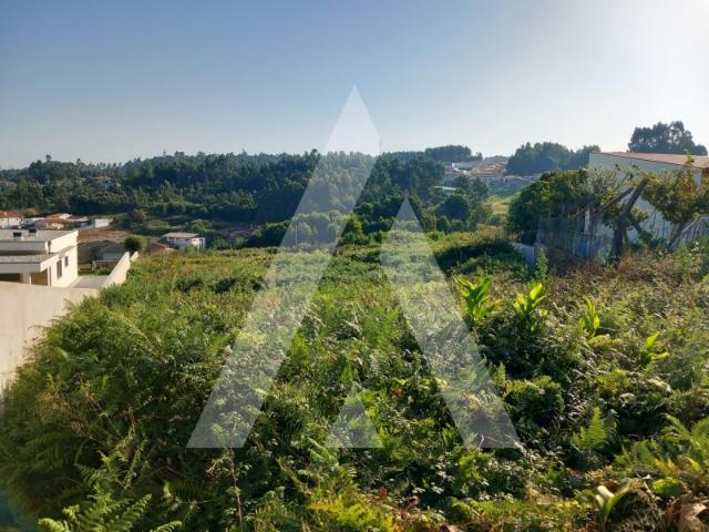Terreno venda em Santa Maria Da Feira, Aveiro