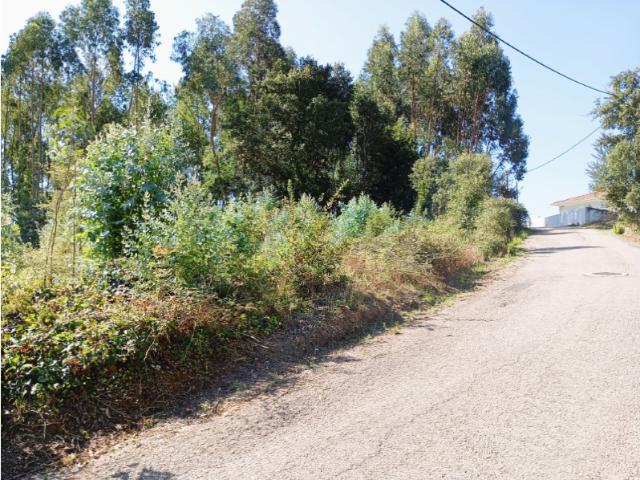 Terreno venda em Oliveira Do Bairro, Aveiro