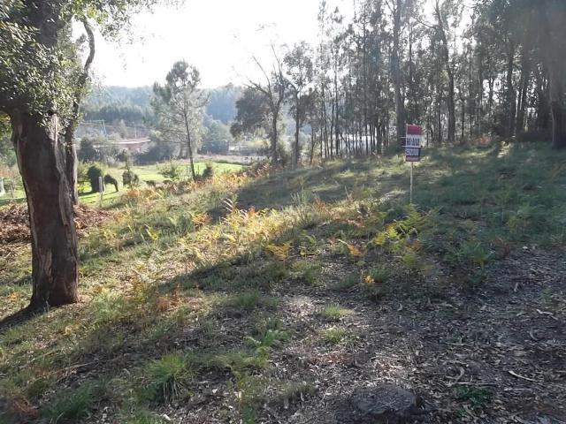 Terreno venda em Oliveira De Azeméis, Aveiro