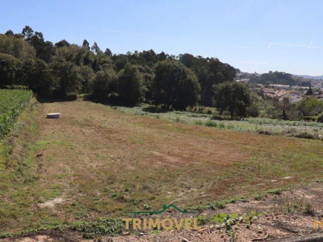 Terreno venda em Oliveira De Azeméis, Aveiro