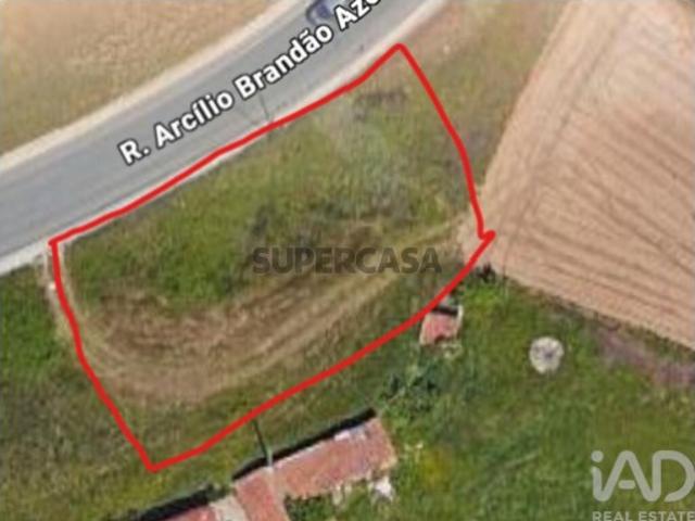Terreno venda em Oliveira de Azeméis, Santiago de Riba-Ul, Ul, Macinhata da Seixa e Madail, Oliveira de Azeméis