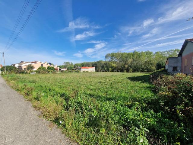 Terreno venda em Anadia, Aveiro
