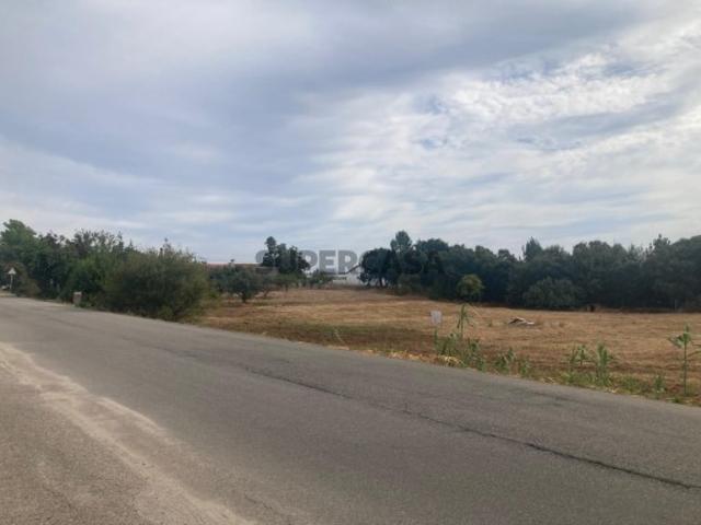 Terreno venda em Oliveira Do Bairro, Aveiro