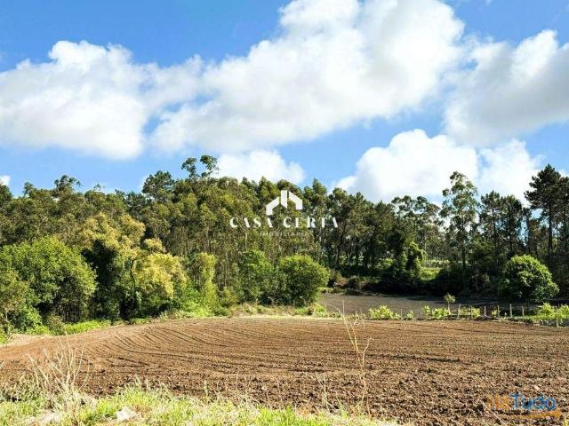 Terreno venda em Arcozelo, Braga