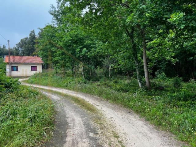 Terreno venda em Pardilhó, Estarreja