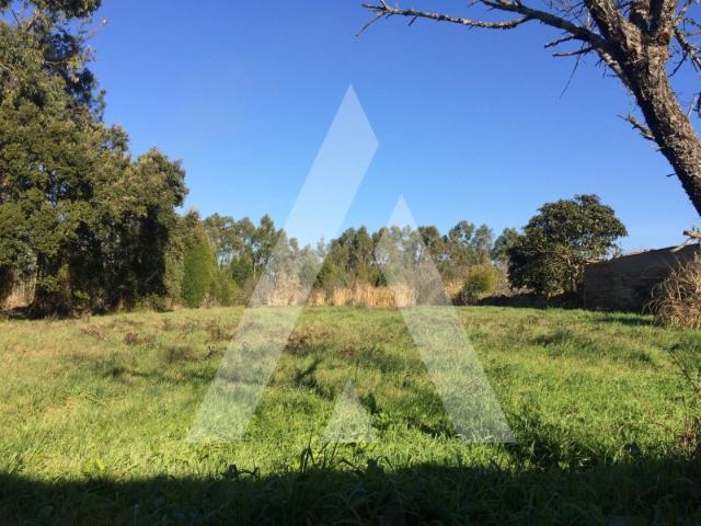Terreno venda em Anadia, Aveiro