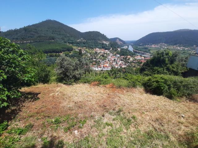Terreno venda em Ponte de Penacova, Penacova