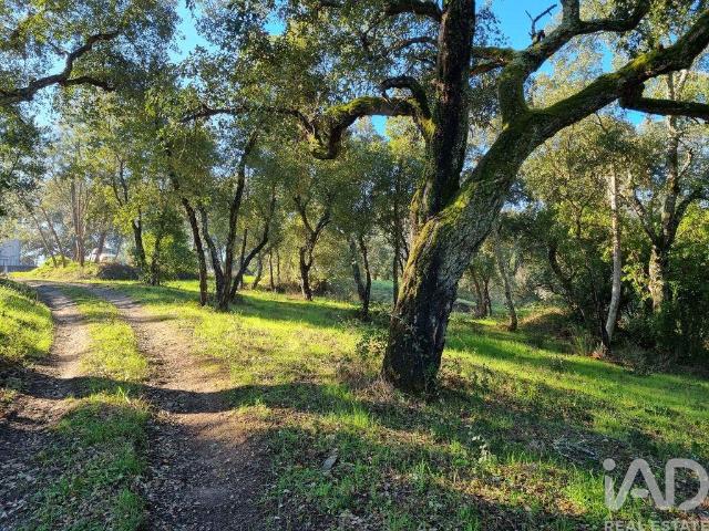 Terreno venda em Poiares (Santo André), Vila Nova De Poiares