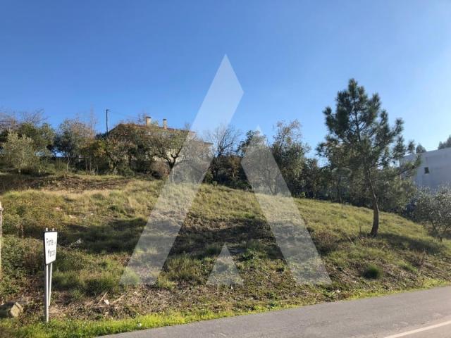 Terreno venda em Porto De Mós, Leiria