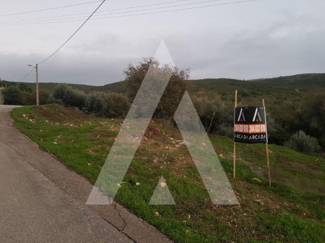 Terreno venda em Porto De Mós, Leiria