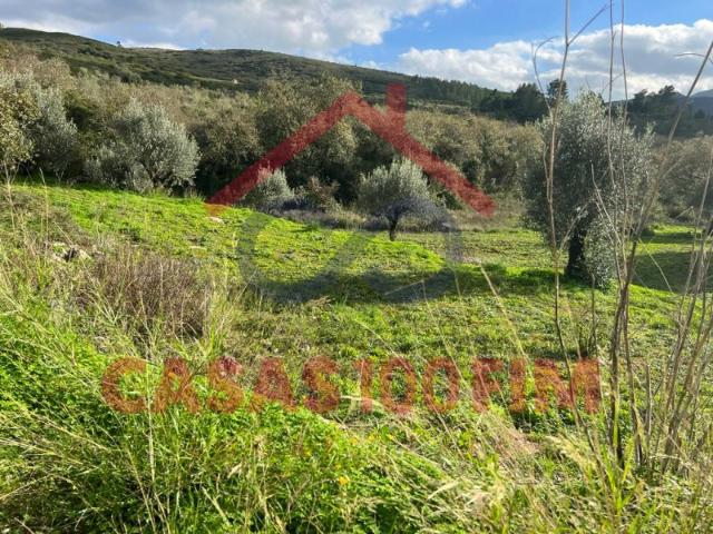 Terreno venda em Porto De Mós, Leiria