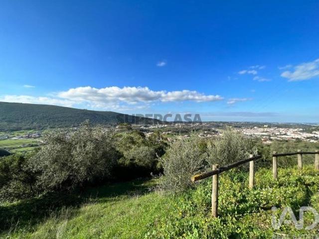 Terreno venda em Porto De Mós, Leiria