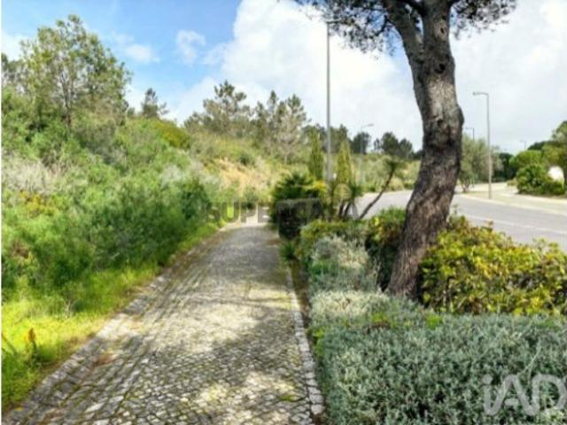Terreno venda em Sintra, Lisboa