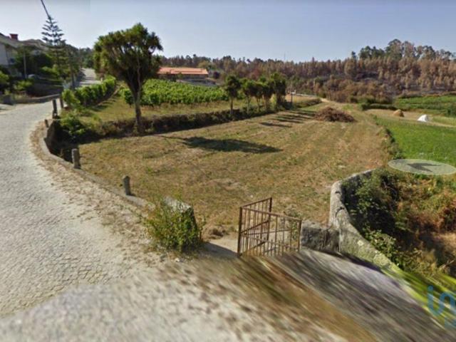 Terreno venda em Recezinhos (São Mamede), Marecos