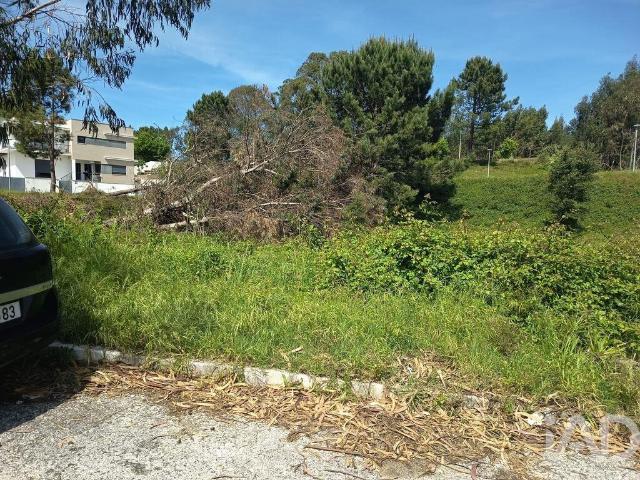 Terreno venda em Rio Maior, Santarém