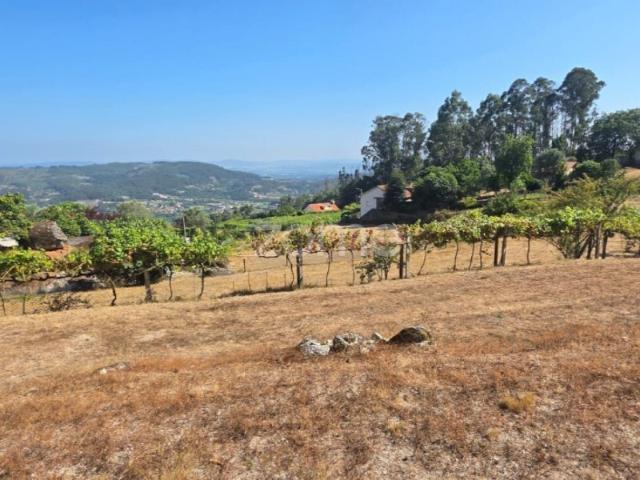 Terreno venda em Ribeira do Neiva, Vila Verde