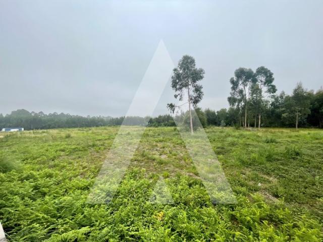 Terreno venda em Santa Maria Da Feira, Aveiro