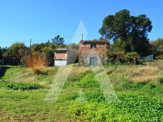 Terreno venda em Sever Do Vouga, Aveiro