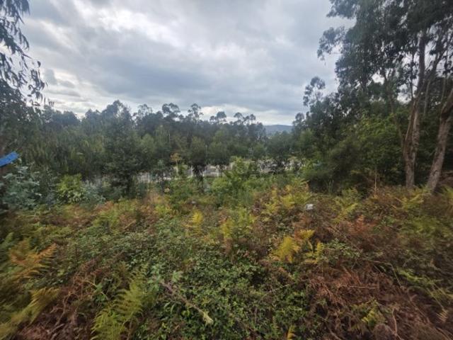 Terreno venda em Senhor, Gavião