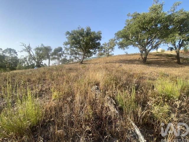 Terreno venda em São Brás de Alportel
