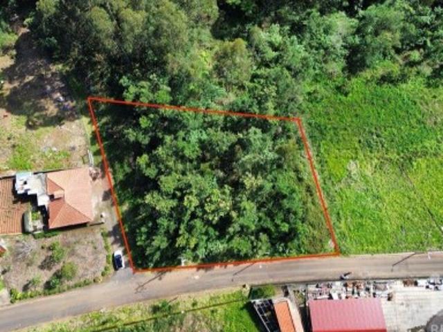 Terreno venda em Santana, Ilha Da Madeira
