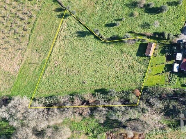 Terreno venda em São Miguel, Santa Eufémia e Rabaçal, Penela