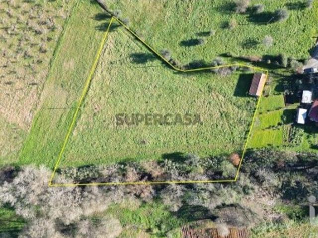 Terreno venda em São Miguel, Santa Eufémia e Rabaçal, Penela