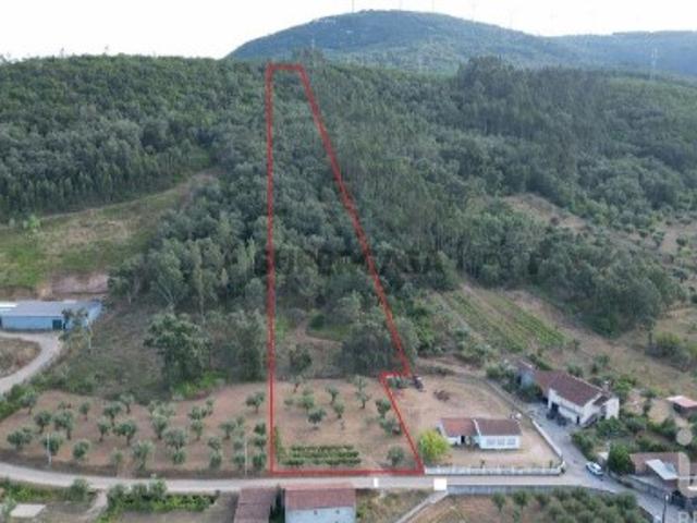 Terreno venda em Penela, Coimbra