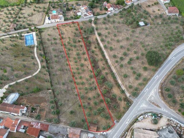 Terreno venda em Penela, Coimbra