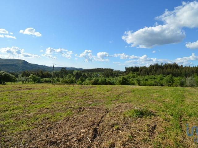 Terreno venda em Penela, Coimbra