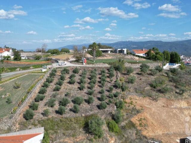 Terreno venda em Penela, Coimbra