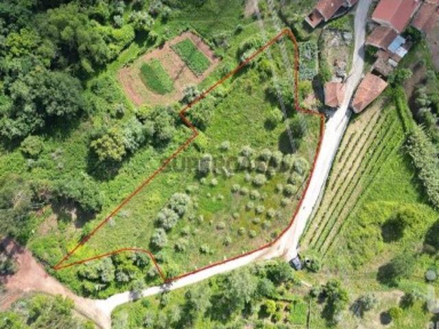 Terreno venda em Penela, Coimbra