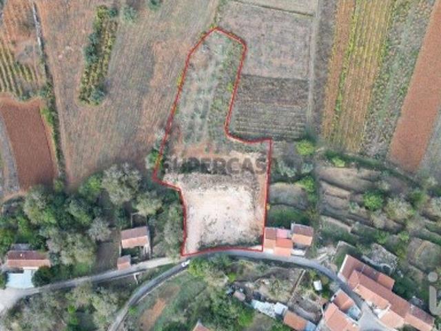 Terreno venda em Penela, Coimbra