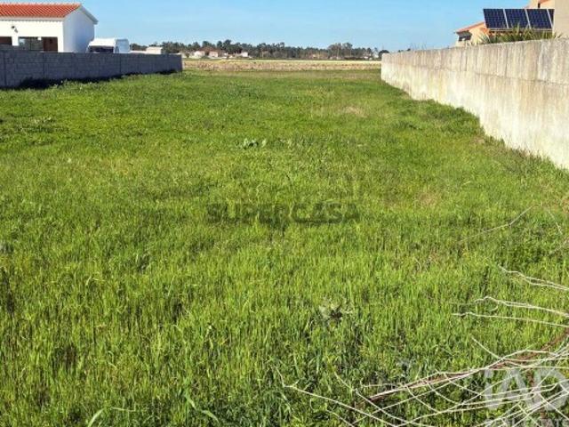 Terreno venda em Salvaterra De Magos, Santarém