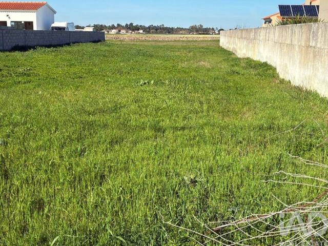 Terreno venda em Salvaterra De Magos, Santarém
