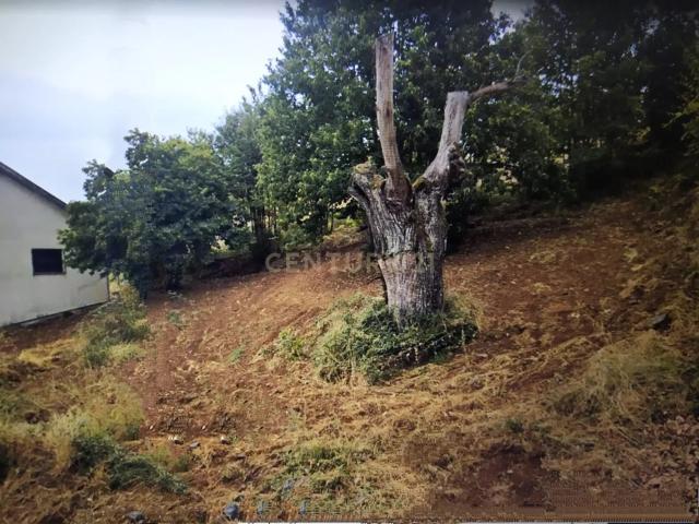 Terreno venda em Covelo Do Gerez, Vila Real
