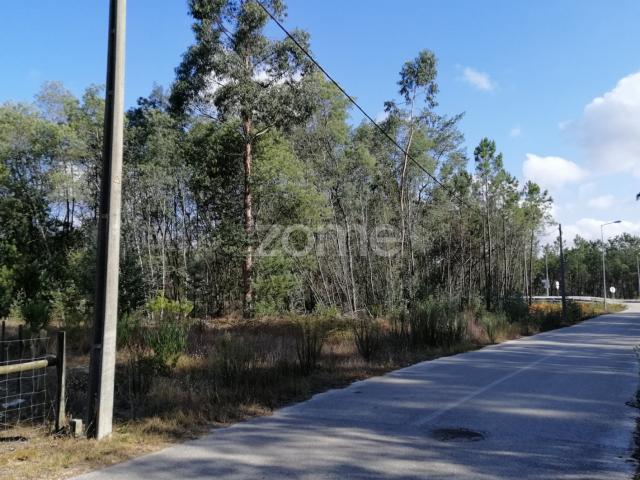 Terreno venda em Sanguinheira de Baixo, Cantanhede