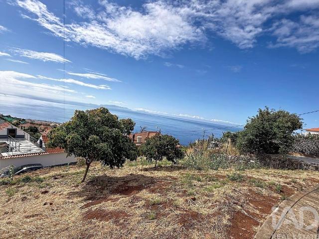 Terreno venda em Santa Cruz