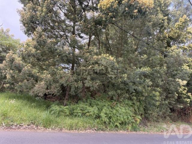 Terreno venda em Santa Cruz