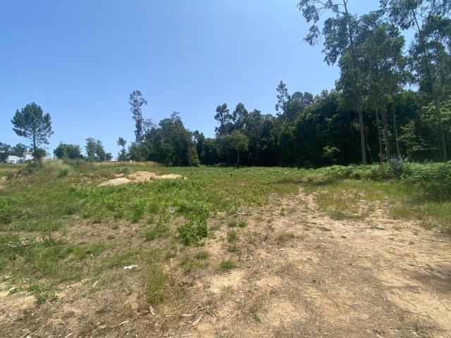 Terreno venda em Santa Maria Da Feira, Aveiro