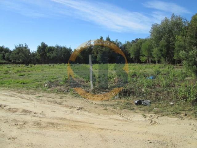Terreno venda em Oliveira De Azeméis, Aveiro