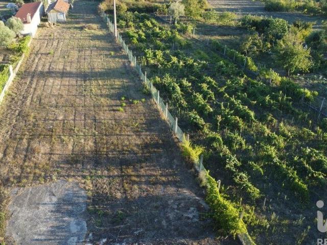 Terreno venda em Ourém, Santarém