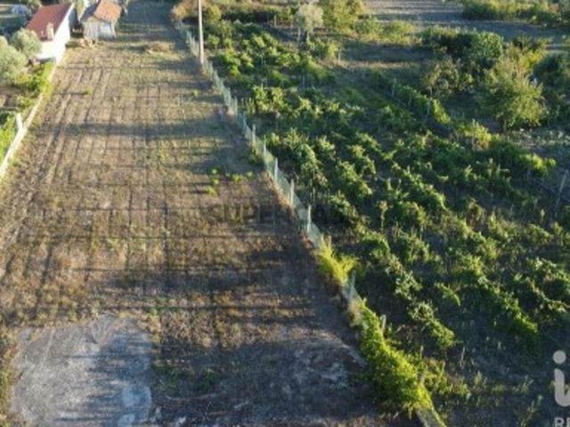 Terreno venda em Ourém, Santarém