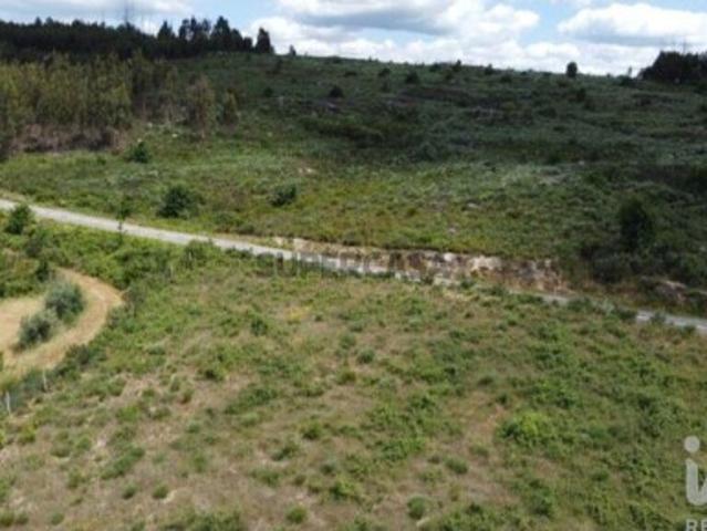 Terreno venda em Seixo Da Beira, Coimbra