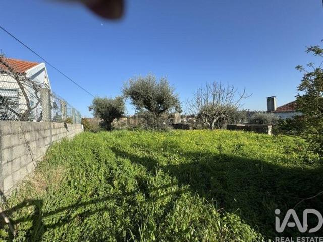 Terreno venda em Fonte Dom João, Tomar