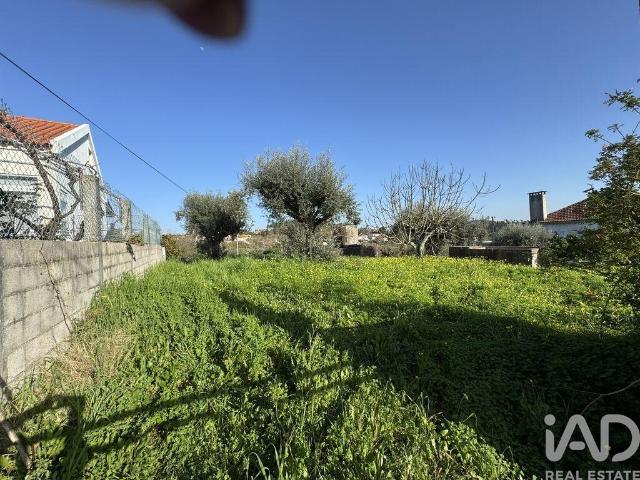 Terreno venda em Fonte Dom João, Tomar